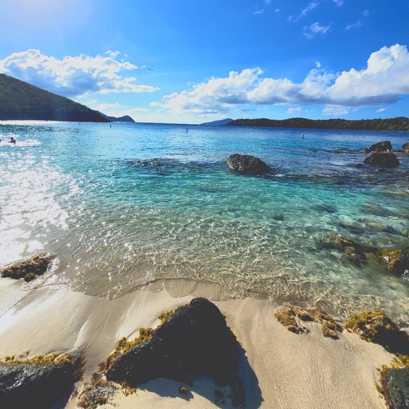 Meet your Posher, LYDOUBLENE - Picture 6 of 8